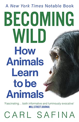 Imagen de archivo de Becoming Wild: How Animals Learn to be Animals a la venta por WorldofBooks