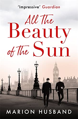 Stock image for All the Beauty of the Sun: The Boy I Love: Book Two for sale by PlumCircle