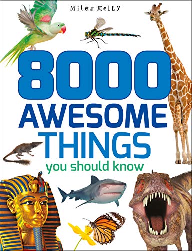 9781786170804: 8000 Awesome Things You Should Know (512-Page Fact)