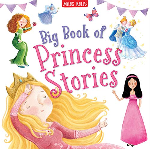 Stock image for Big Book of Princess Stories-4 Classic Stories including Cinderella, Sleeping Beauty, The Princess and the Pea and Snow White and the Seven Dwarfs for sale by SecondSale