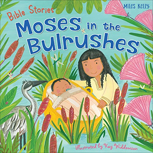 Beispielbild fr Bible Stories: Moses in the Bulrushes zum Verkauf von AwesomeBooks