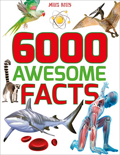 Beispielbild fr 6000 Awesome Facts zum Verkauf von AwesomeBooks