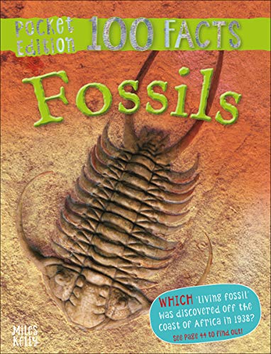 Imagen de archivo de 100 Facts Fossils Pocket Edition " Bitesized Facts & Awesome Images to Support KS2 Learning (100 FACTS POCKET EDITION) a la venta por AwesomeBooks