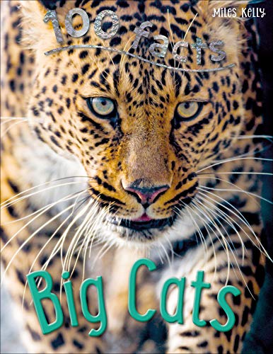 9781786177438: 100 Facts Big Cats – Bitesized Facts & Awesome Images to Support KS2 Learning