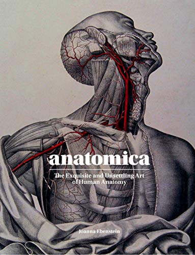 Stock image for Anatomica: The Exquisite and Unsettling Art of Human Anatomy for sale by Book Deals