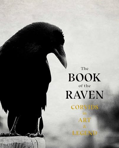 Imagen de archivo de The Book of Raven: Corvids in Art and Legend a la venta por Half Price Books Inc.