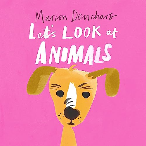 9781786277824: Let's Look at... Animals: Board Book