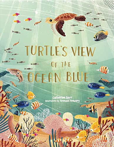 Imagen de archivo de A Turtle's View of the Ocean Blue a la venta por Blackwell's