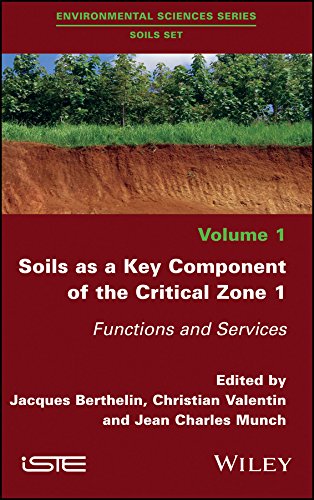 Stock image for Soils as a Key Component of the Critical Zone 1: F Format: Cloth for sale by INDOO