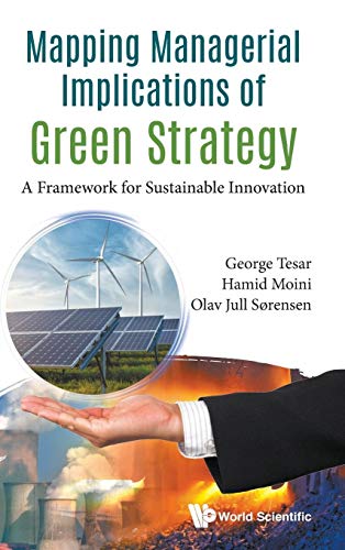 Imagen de archivo de Mapping Managerial Implications of Green Strategy: A Framework for Sustainable Innovation a la venta por Lucky's Textbooks