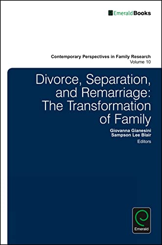 Stock image for Divorce, Separation, and Remarriage: The Transformation of Family for sale by Book Dispensary