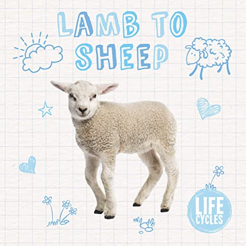 Beispielbild fr Lamb to Sheep zum Verkauf von Blackwell's