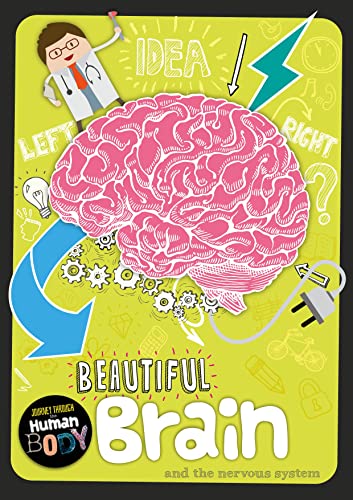 Stock image for Beautiful Brain (Journey Through the Human Body) for sale by WorldofBooks
