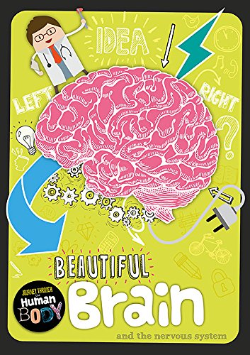 9781786371713: Beautiful Brain (Journey Through the Human Body)