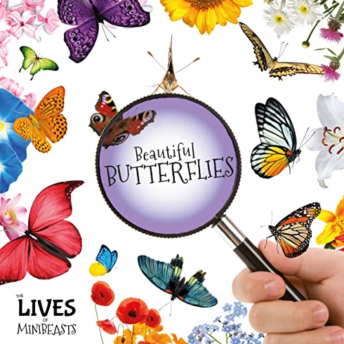 Beispielbild fr Beautiful Butterflies (The Lives of Minibeasts) zum Verkauf von WorldofBooks
