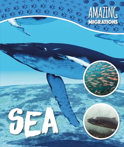 Stock image for Sea for sale by Better World Books