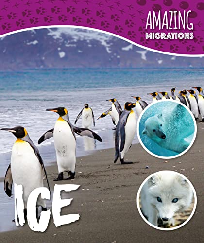 Stock image for Ice (Amazing Migrations) for sale by GF Books, Inc.