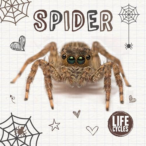 Beispielbild fr Spider (Life Cycles) zum Verkauf von Books From California