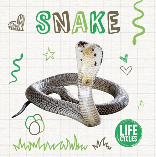 9781786372406: Snake (Life Cycles)