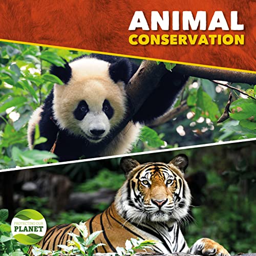 Beispielbild fr Animal Conservation zum Verkauf von Better World Books