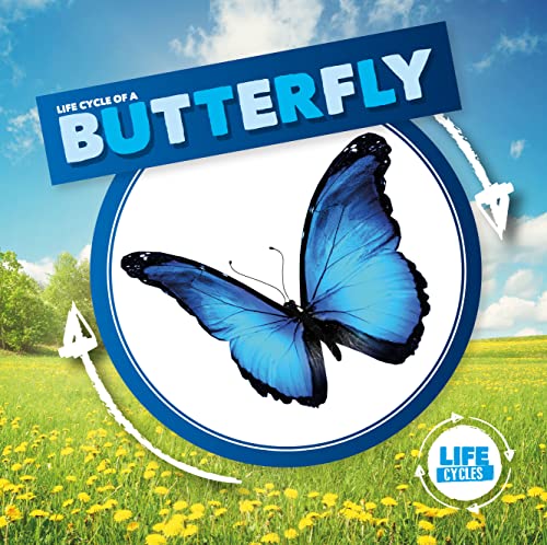 Beispielbild fr Life Cycle of a Butterfly zum Verkauf von Blackwell's