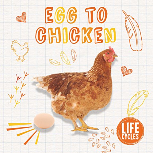 Beispielbild fr Life Cycle of a Chicken zum Verkauf von Blackwell's