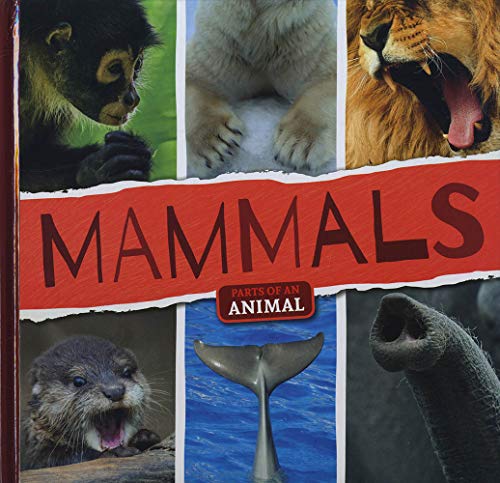 Beispielbild fr Mammals zum Verkauf von Blackwell's