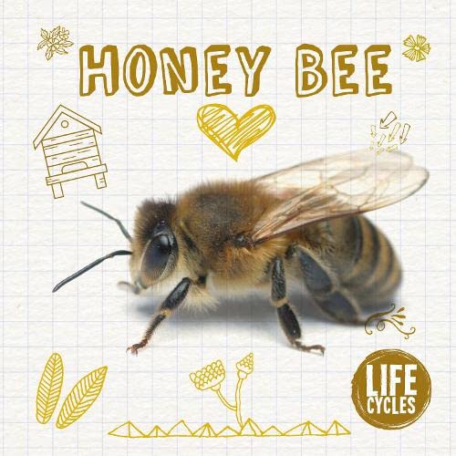 Stock image for Honey Bee for sale by Blackwell's