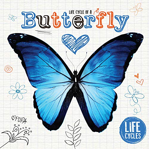 Stock image for Life Cycle of a Butterfly (Life Cycles) for sale by Once Upon A Time Books