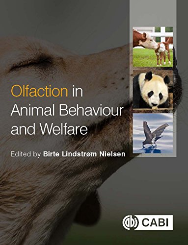 Stock image for Olfaction in Animal Behaviour and Welf for sale by Chiron Media