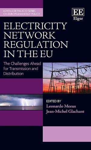 Beispielbild fr Electricity Network Regulation in the EU zum Verkauf von Blackwell's