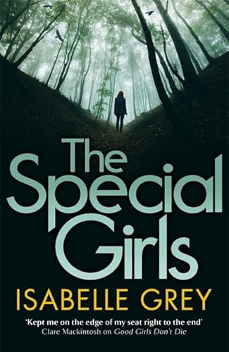 Stock image for The Special Girls: A gripping summer thriller read full of shocking twists: An addictive thriller that will keep you guessing until the last page for sale by WorldofBooks