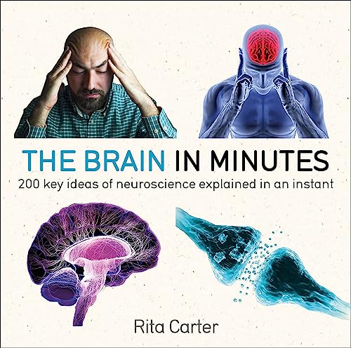 Imagen de archivo de The Brain in Minutes: 200 Key Ideas of Neuroscience Explained in an Instant a la venta por WorldofBooks