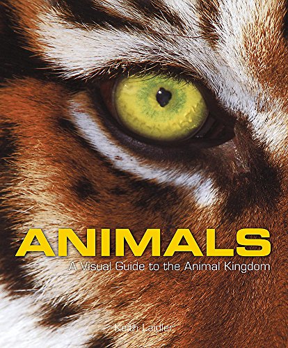 Beispielbild fr Animals: A Visual Guide to the Animal Kingdom zum Verkauf von WorldofBooks