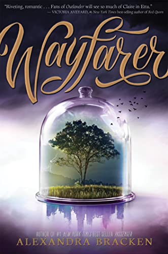 Imagen de archivo de Passenger: Wayfarer a la venta por Goodwill