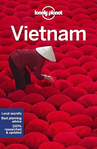 Stock image for Lonely Planet Vietnam 14 (Travel Guide) for sale by Open Books