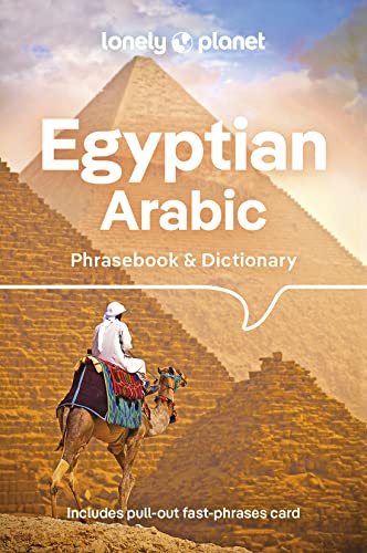 Stock image for Lonely Planet Egyptian Arabic Phrasebook & Dictionary Format: Paperback for sale by INDOO