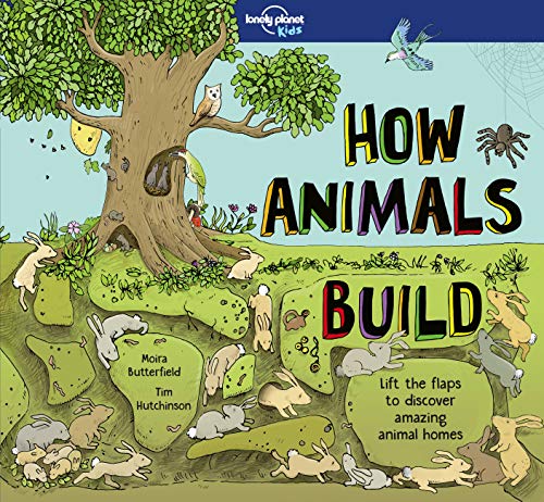 9781786576637: How Animals Build (Lonely Planet Kids) [Idioma Ingls]