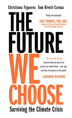 Beispielbild fr The Future We Choose: Surviving The Climate Crisis zum Verkauf von Wonder Book