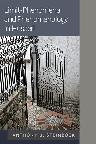 Stock image for LimitPhenomena and Phenomenology in Husserl for sale by PBShop.store US