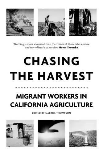 Beispielbild fr Chasing the Harvest: Migrant Workers in California Agriculture (Voice of Witness) zum Verkauf von Bellwetherbooks