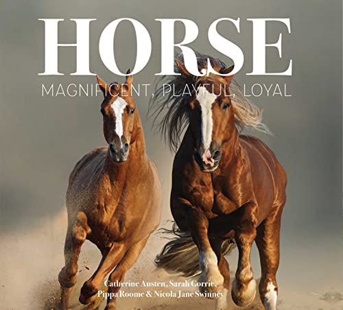 Beispielbild fr Horse: Magnificent, Playful, Loyal (Best Kept Secrets) zum Verkauf von WorldofBooks