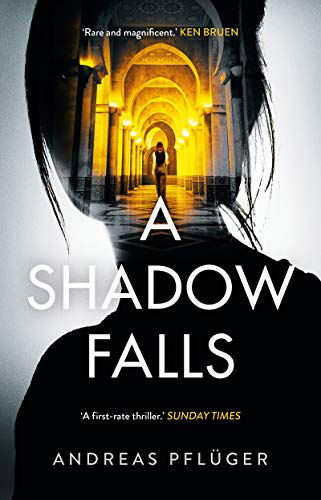 Stock image for A Shadow Falls: 2 (A Jenny Aaron Thriller) for sale by WorldofBooks