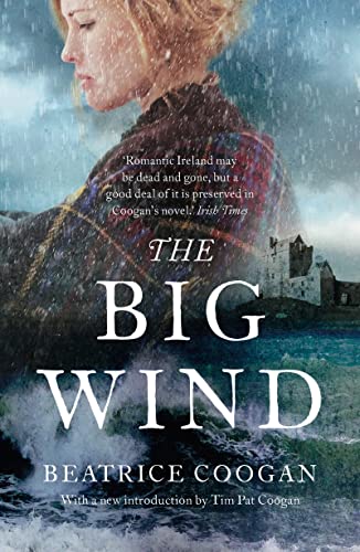 Stock image for The Big Wind for sale by BooksRun