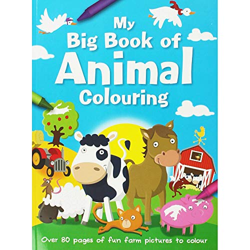 Beispielbild fr Bumper Farm (Jumbo Colouring Fun) zum Verkauf von AwesomeBooks