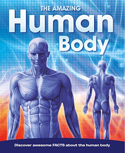 Beispielbild fr The Amazing Human Body: Discovery awesome FACTS (1) zum Verkauf von SecondSale