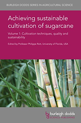 Beispielbild fr Achieving Sustainable Cultivation of Sugarcane: Volume 1: Cultivation Techniques, Quality and Sustainability (Burleigh Dodds Series in Agricultural Science) zum Verkauf von AwesomeBooks