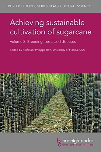 Imagen de archivo de Achieving Sustainable Cultivation of Sugarcane: Volume 2: Breeding, Pests and Diseases (Burleigh Dodds Series in Agricultural Science) a la venta por AwesomeBooks