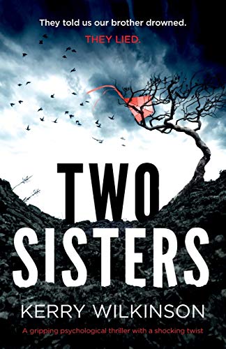 Stock image for Two Sisters: A gripping psychological thriller with a shocking twist for sale by ThriftBooks-Atlanta
