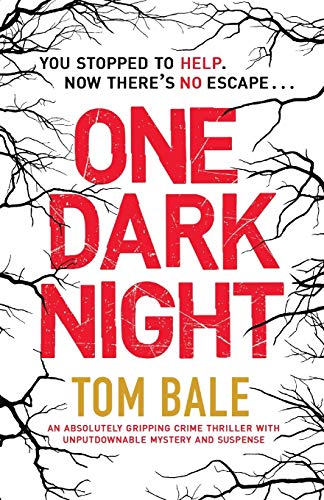 9781786817051: One Dark Night: An absolutely gripping crime thriller with unputdownable mystery and suspense